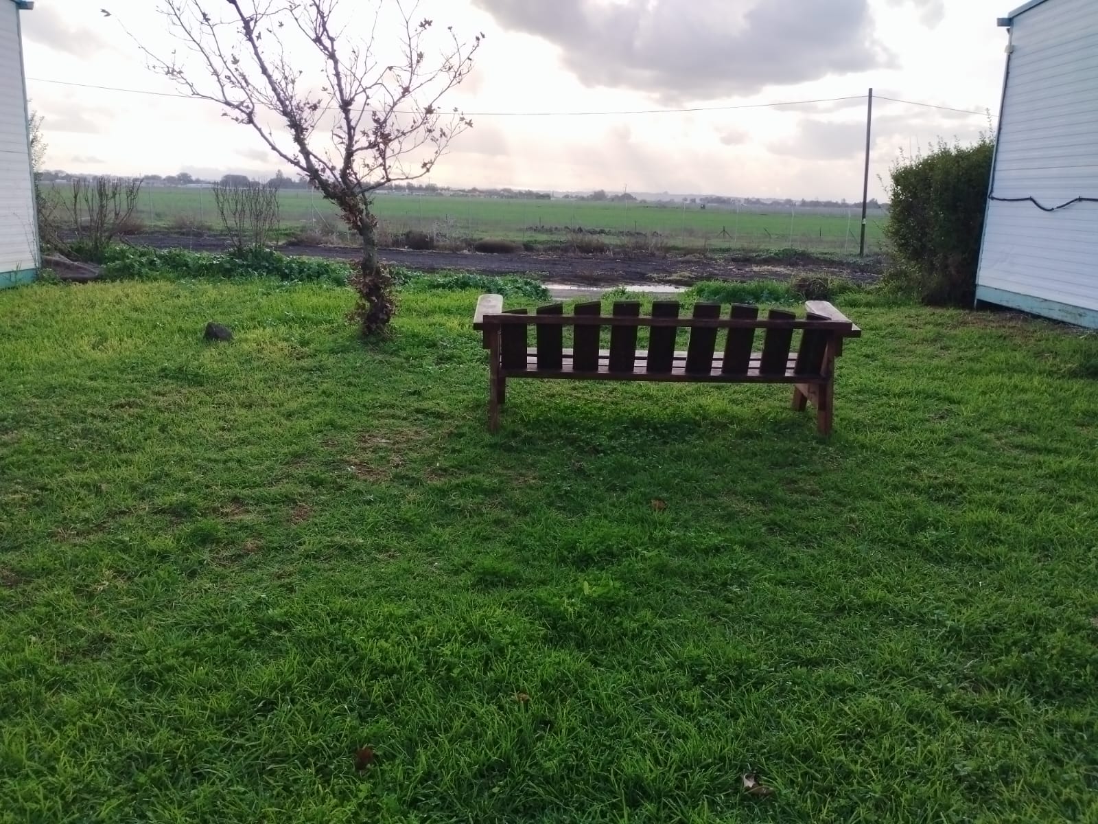 PHOTO-2024-01-13-18-25-45 4 - Tehila Geller